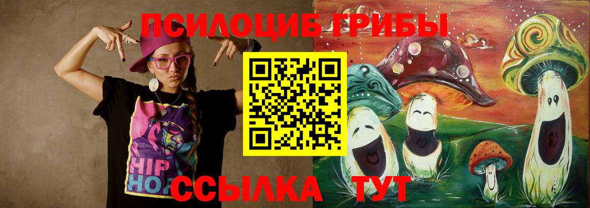 Галлюциногенные грибы MAGIC MUSHROOMS  купить   Киреевск  Вход с VPN 