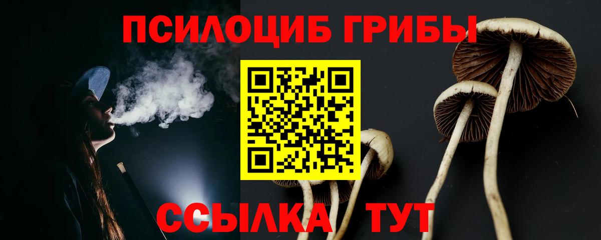 Псилоцибиновые грибы Magic Shrooms Киреевск
